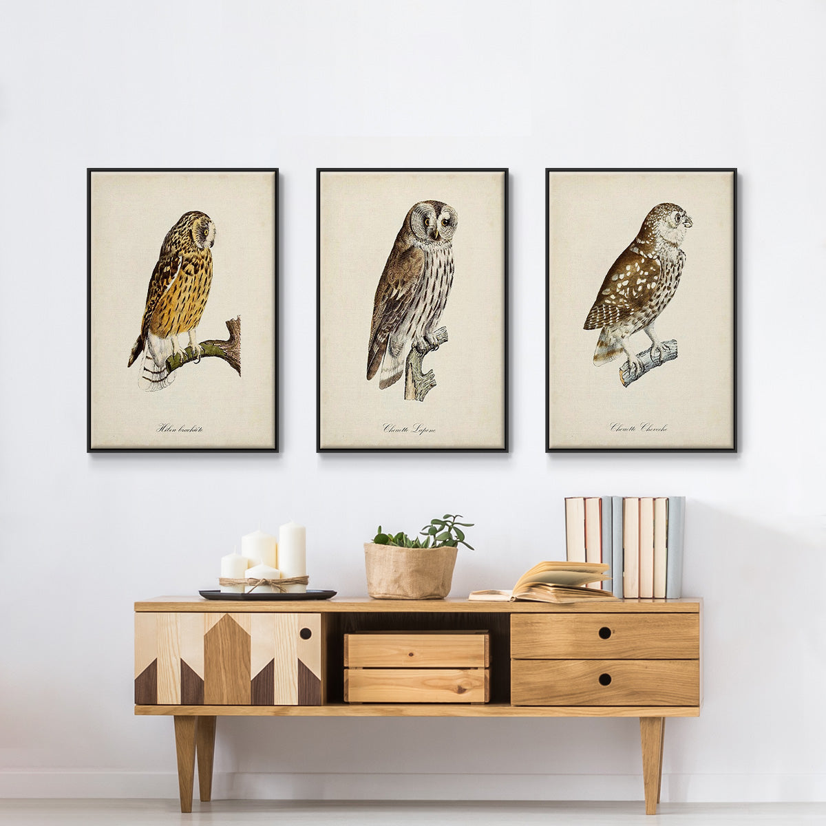 French Owls I - Framed Premium Gallery Wrapped Canvas L Frame 3 Piece Set - Ready to Hang