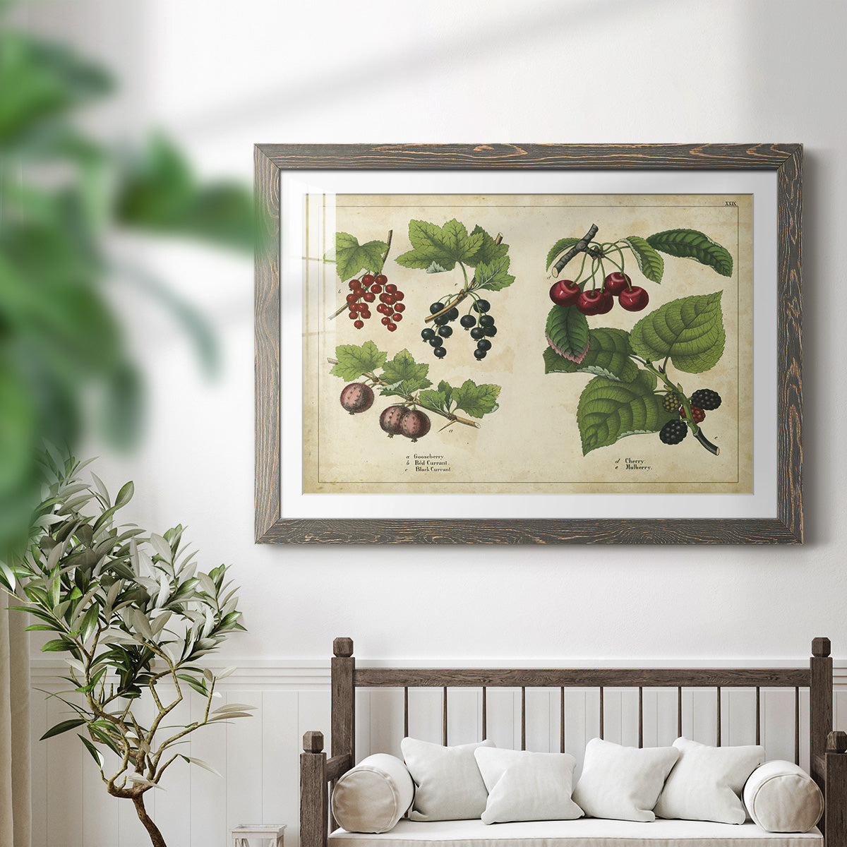 Kitchen Fruits III-Premium Framed Print - Ready to Hang