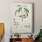 Antique Almond Botanical I - Modern Framed Canvas Print