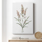 Dainty Botanical I - Canvas Art Print