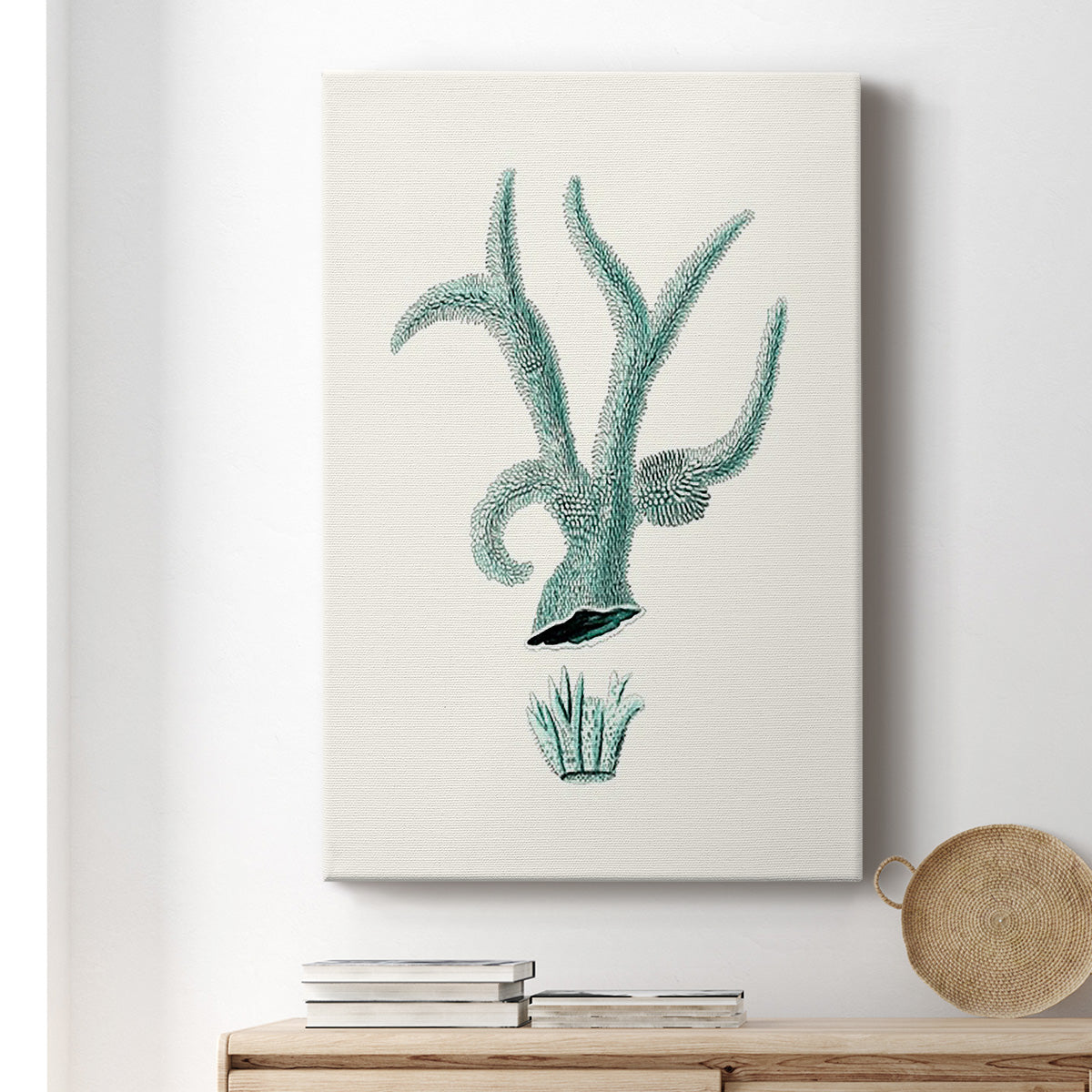 Antique Coastal Coral XII - Canvas Art Print