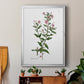 Rose Botanical III - Modern Framed Canvas Print