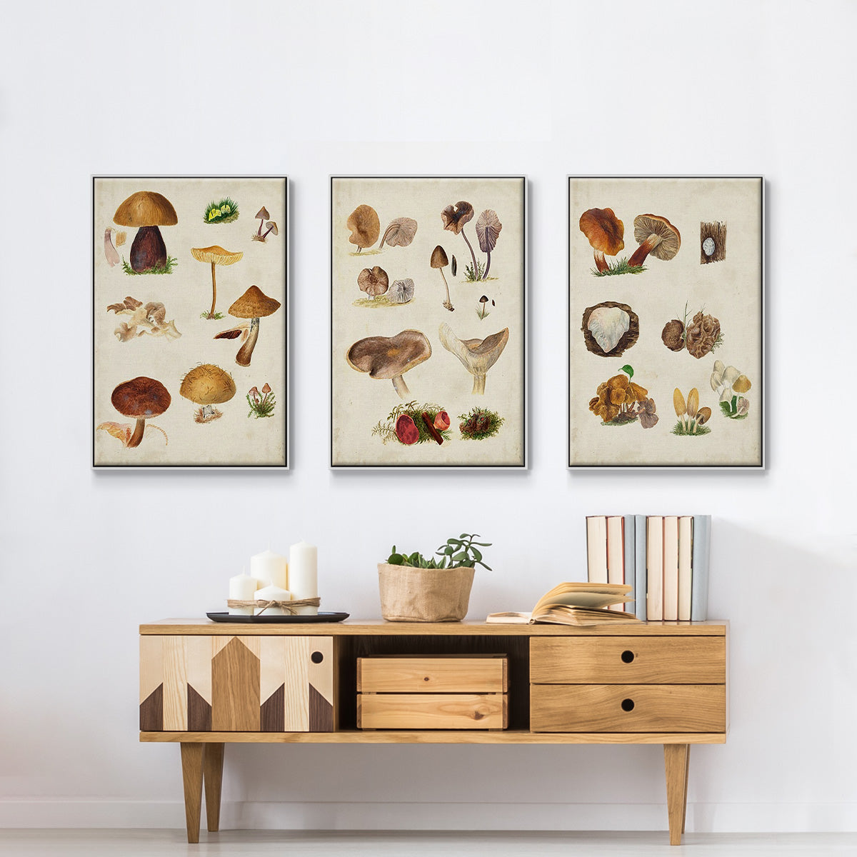 Mushroom Species I - Framed Premium Gallery Wrapped Canvas L Frame 3 Piece Set - Ready to Hang