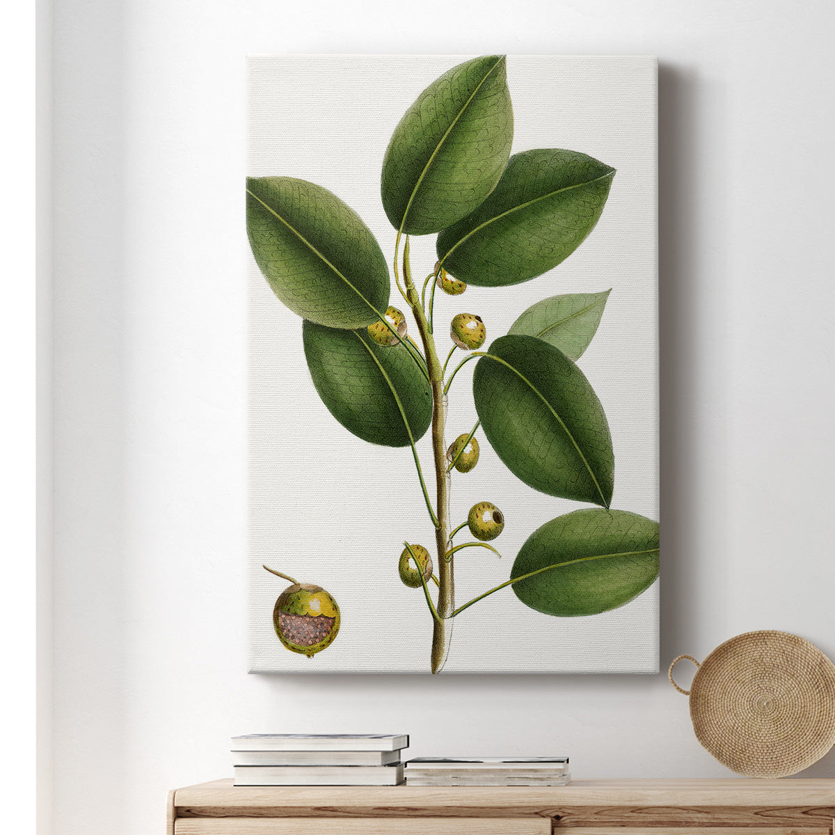 Cherry Fig Tree Premium Gallery Wrapped Canvas - Ready to Hang