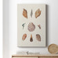 Knorr Shells & Coral VI Premium Gallery Wrapped Canvas - Ready to Hang