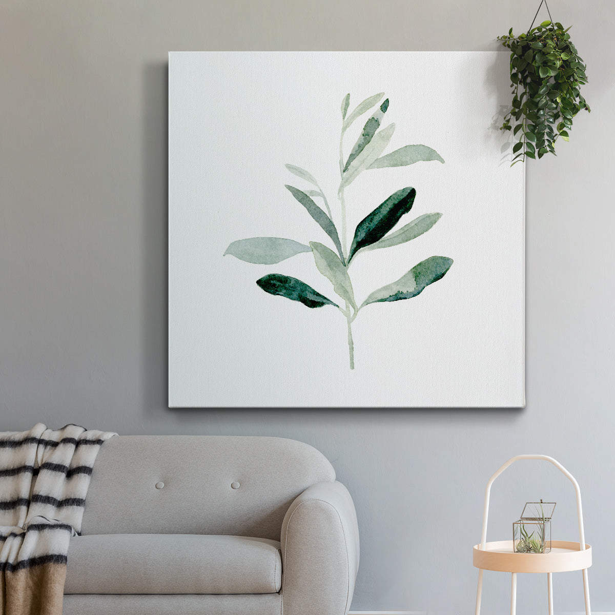 Summer Olive Branch II - Canvas Art Print