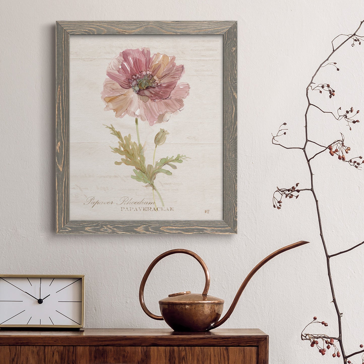 Soft Poppy - Premium Canvas Framed in Barnwood - Ready to Hang