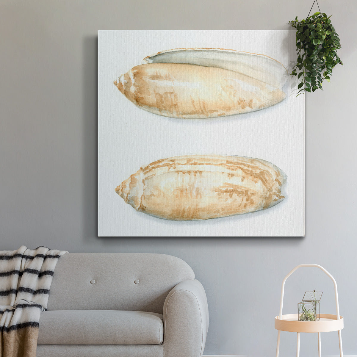 Watercolor Shells V-Premium Gallery Wrapped Canvas - Ready to Hang