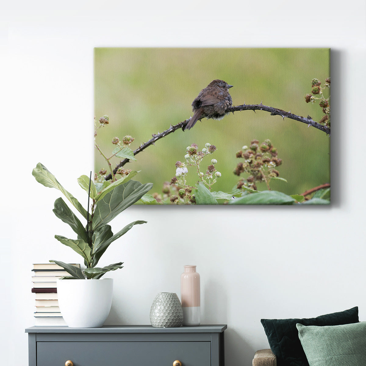 Resting Sparrow - Canvas Art Print