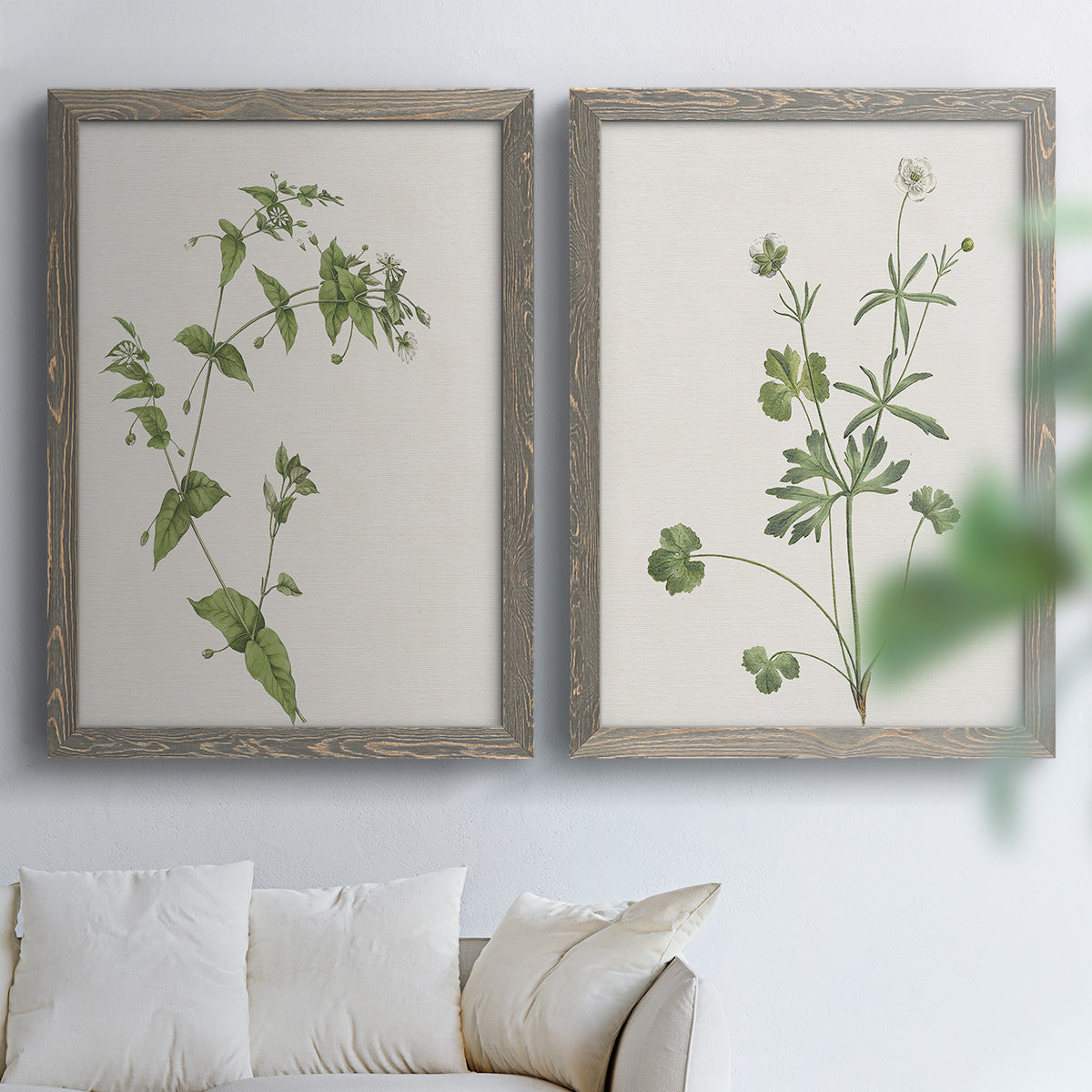 Wispy Botanical I - Premium Framed Canvas 2 Piece Set - Ready to Hang