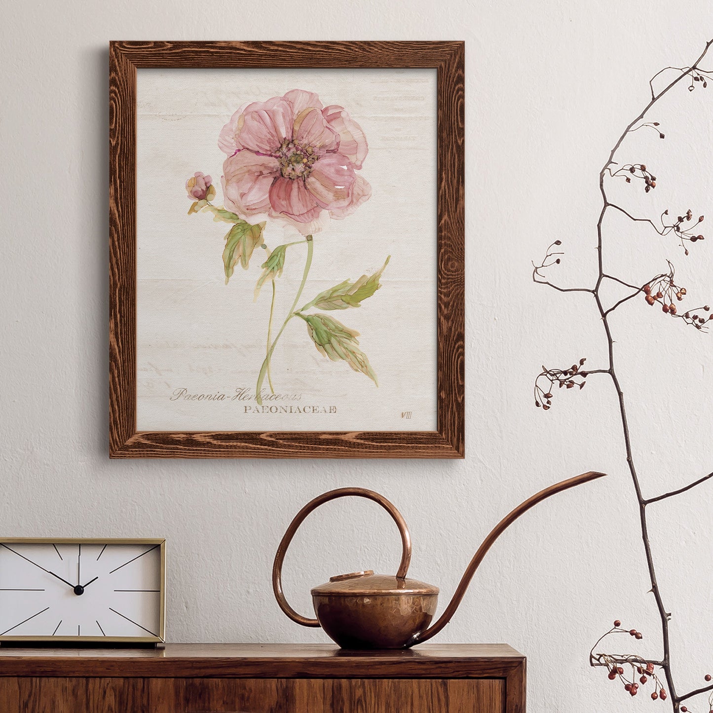 Soft Peony - Premium Canvas Framed in Barnwood - Ready to Hang