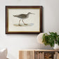 Morris Sandpipers V Premium Framed Canvas- Ready to Hang