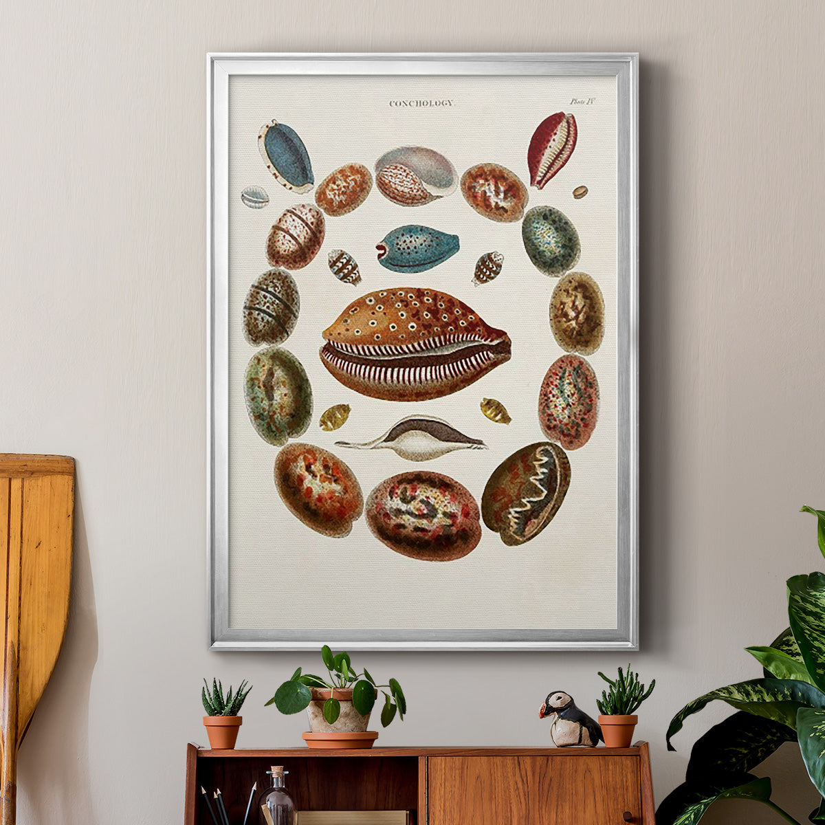 Spiral Shell Formation II - Modern Framed Canvas Print