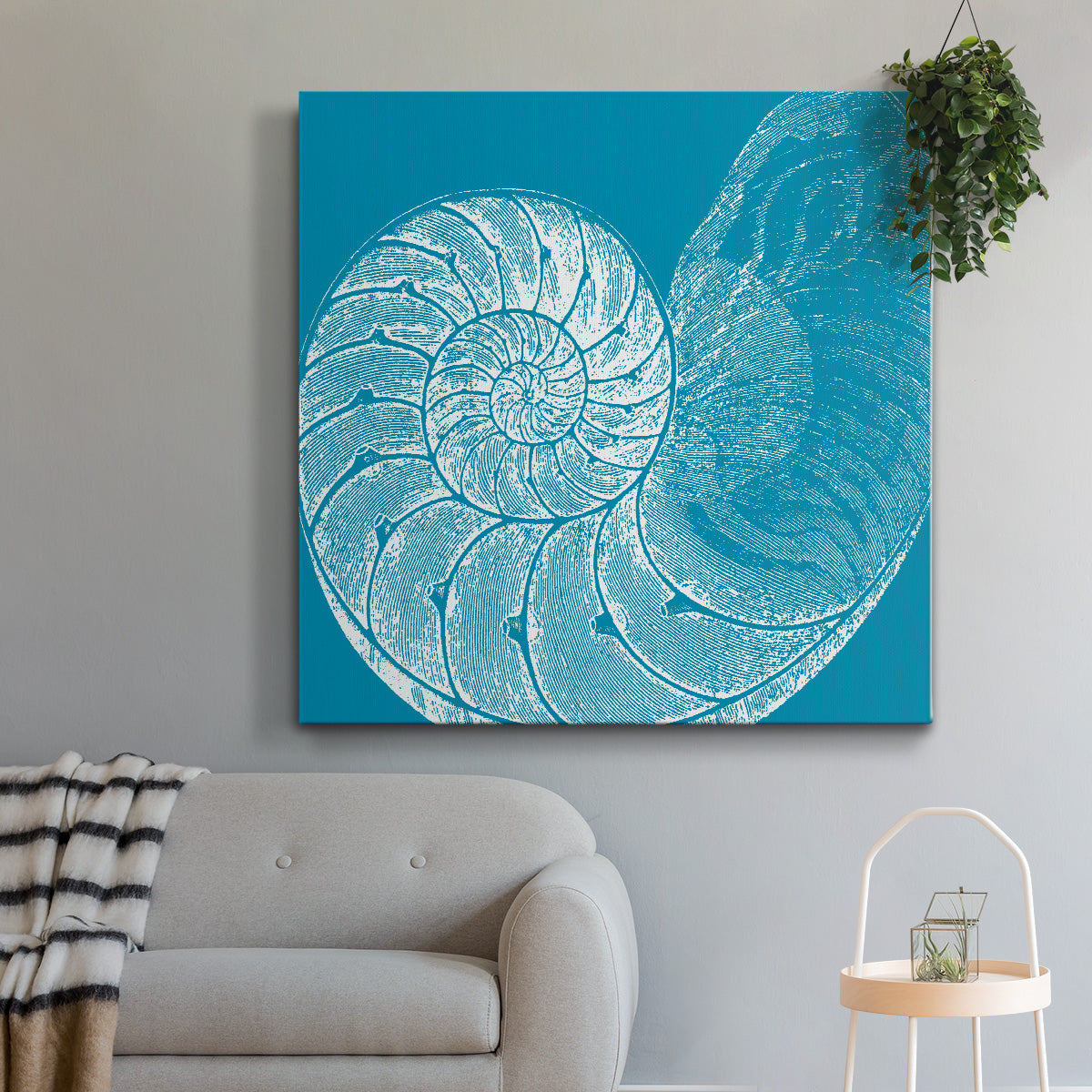 Saturated Shell IV - Canvas Art Print