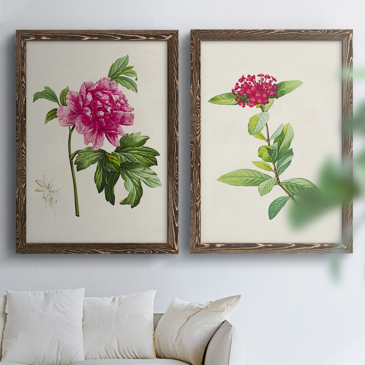 Set of two walnut barnwood framed canvas prints depicting peonies thistles leafy stems and archival cream paper arranged across two complementary compositions above a sofa in a bright living space.