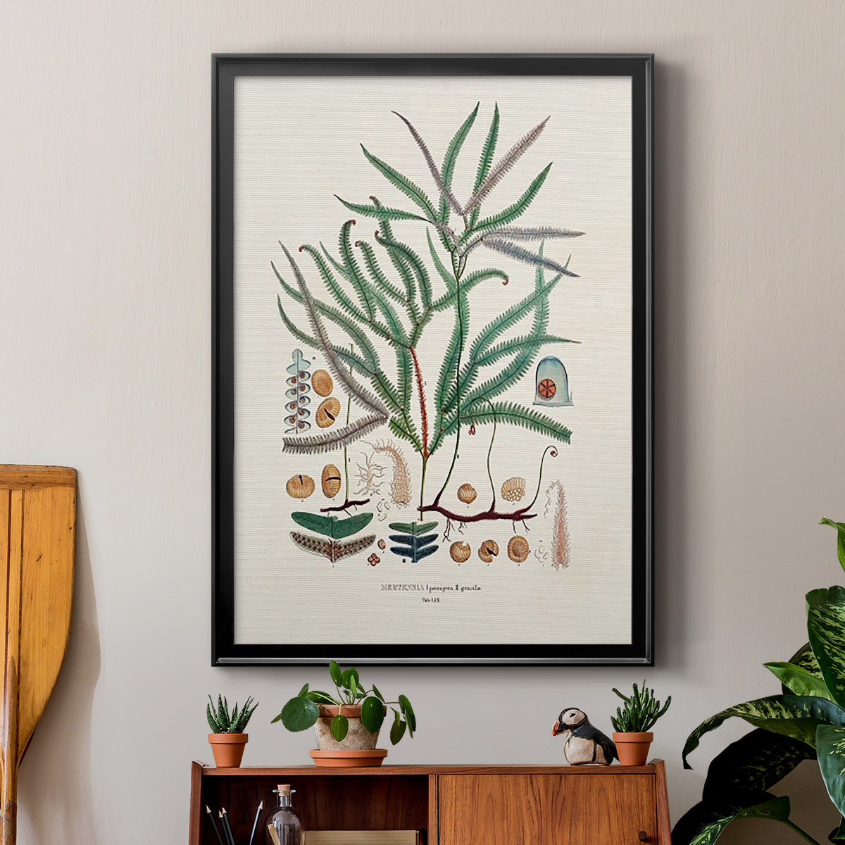 Botanical Society Ferns VII - Modern Framed Canvas Print