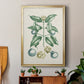 Buchoz Tropicals VII - Modern Framed Canvas Print