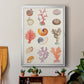 Coral & Shell Collage I -  Framed Canvas Print