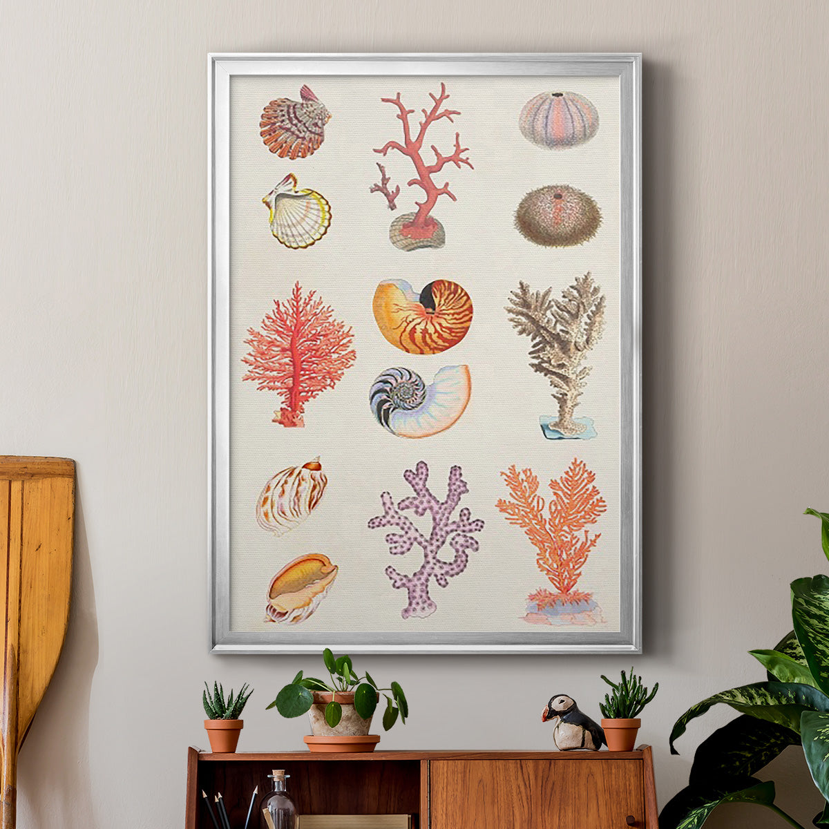 Coral & Shell Collage I -  Framed Canvas Print