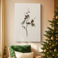 Midnight of Silver Morning - Canvas Art Print