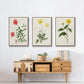 Flowers of the Seasons X - Framed Premium Gallery Wrapped Canvas L Frame 3 Piece Set - Ready to Hang