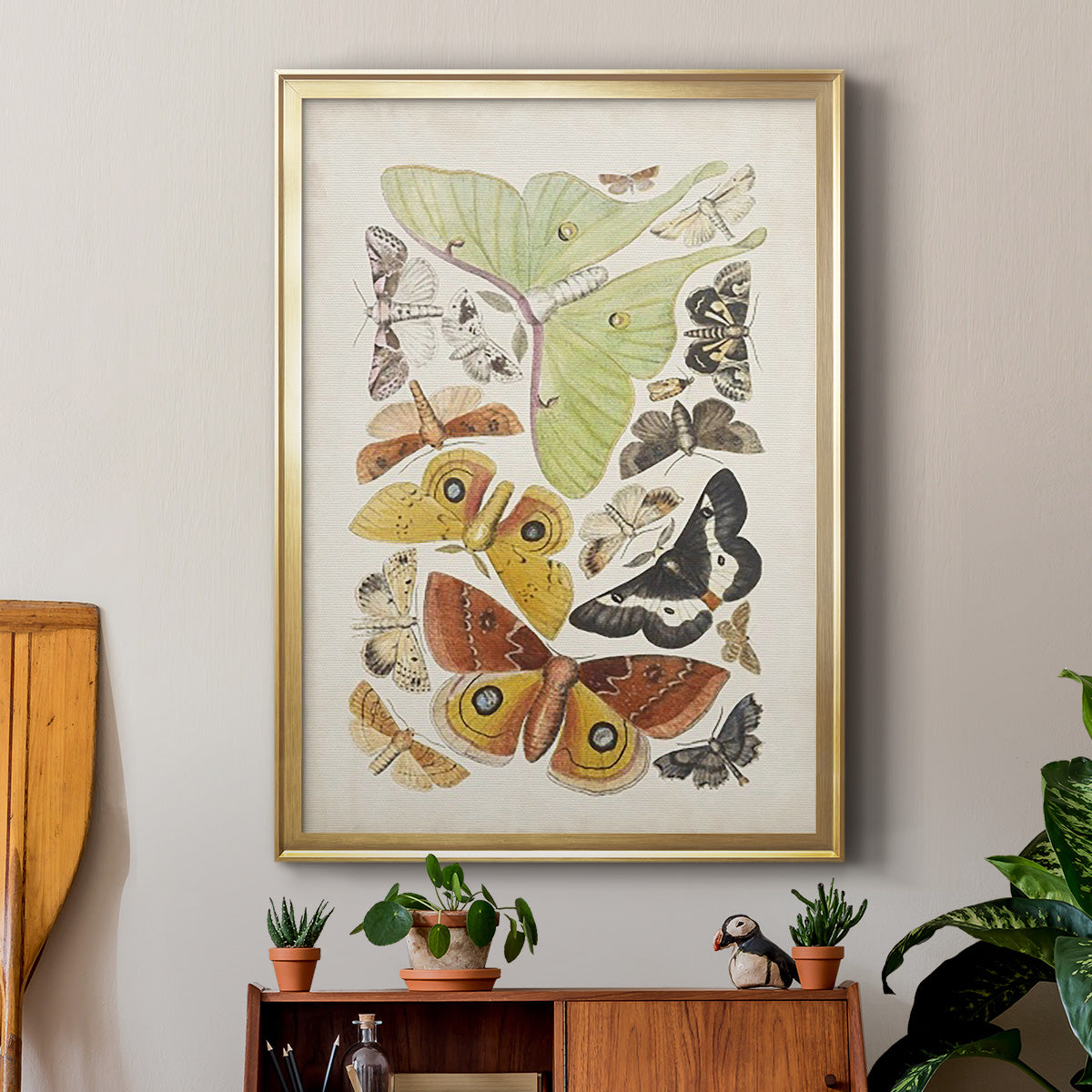 Antique Moths I - Modern Framed Canvas Print