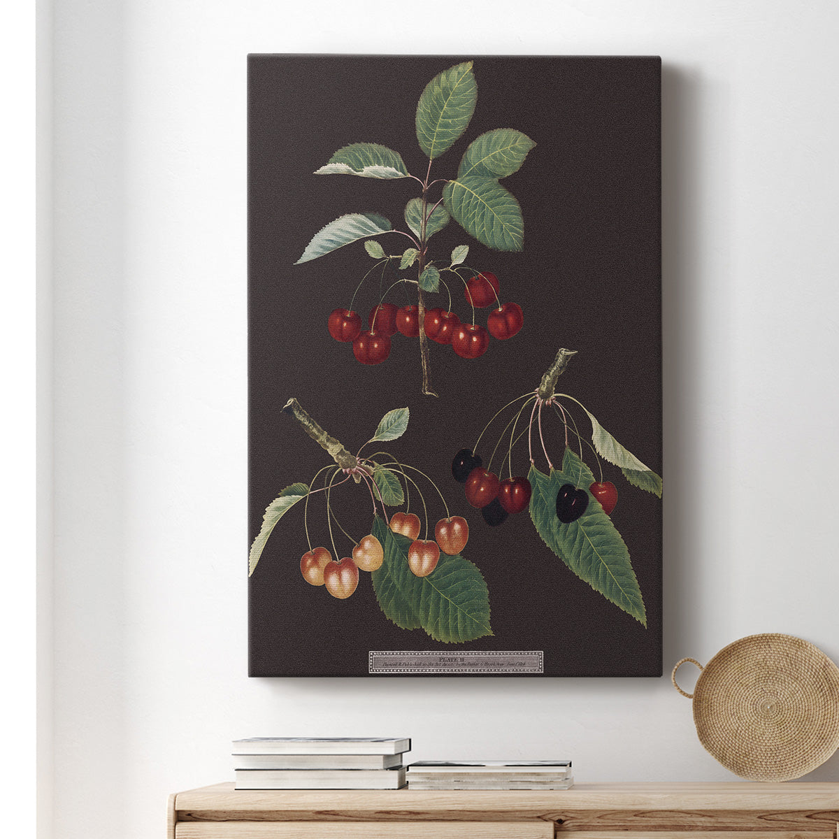 Brookshaw Cherries - Canvas Art Print