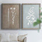 Botany Beauty III - Premium Framed Canvas 2 Piece Set - Ready to Hang