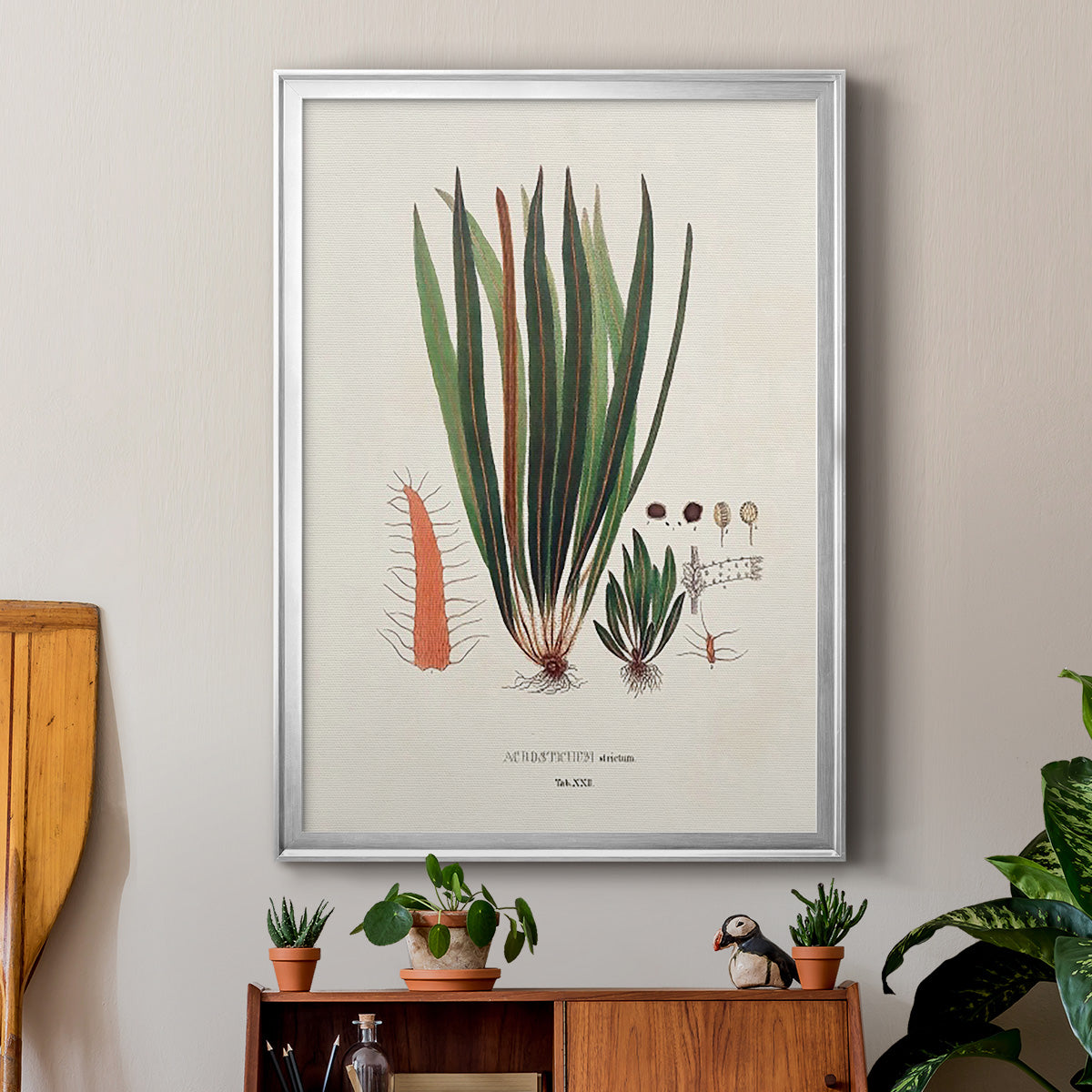 Botanical Society Ferns V - Modern Framed Canvas Print