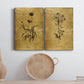 Gold Sketch Botanical I Premium Gallery Wrapped Canvas - Ready to Hang - Set of 2 - 8 x 12 Each