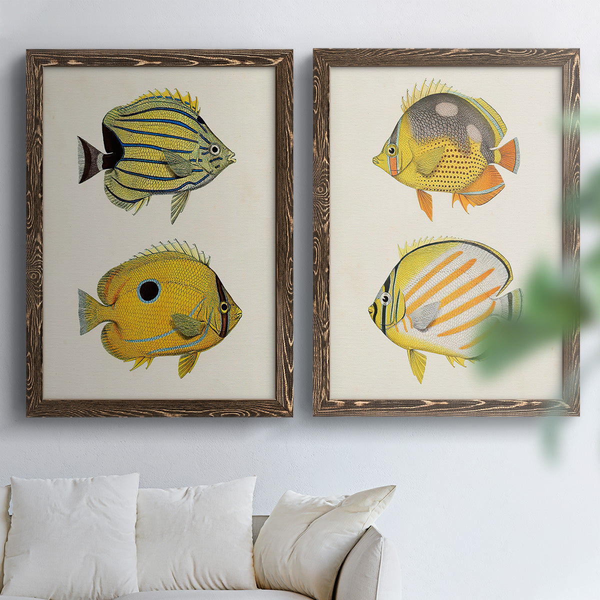 Yellow & Grey Fish III - Premium Framed Canvas 2 Piece Set - Ready to Hang