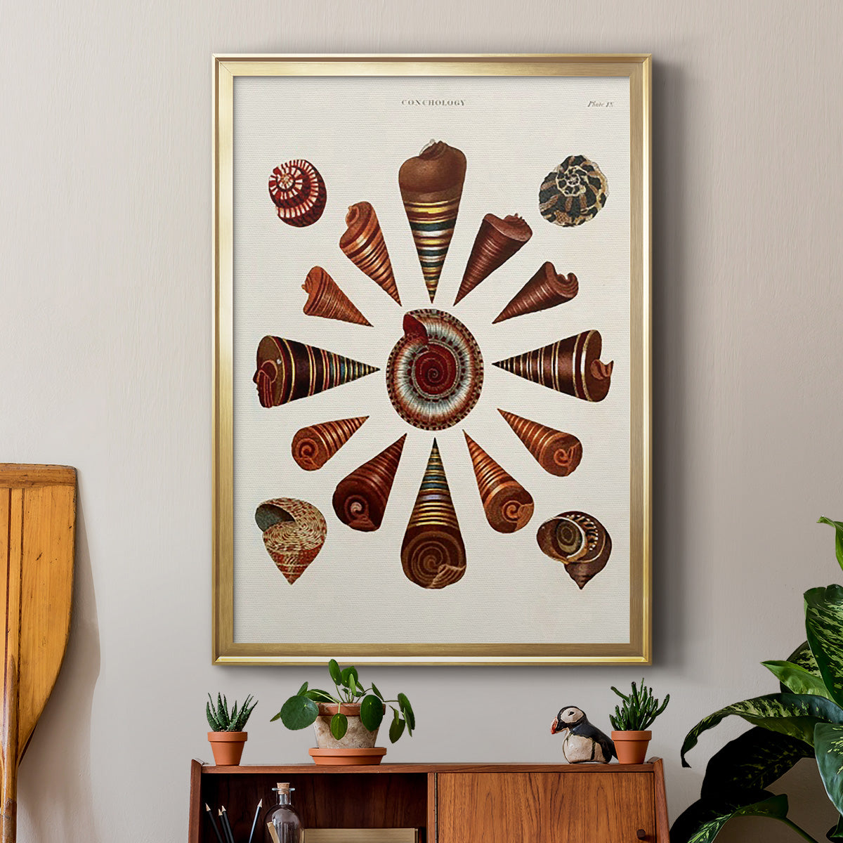 Spiral Shell Formation IV - Modern Framed Canvas Print