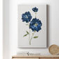 Blue Mums - Canvas Art Print