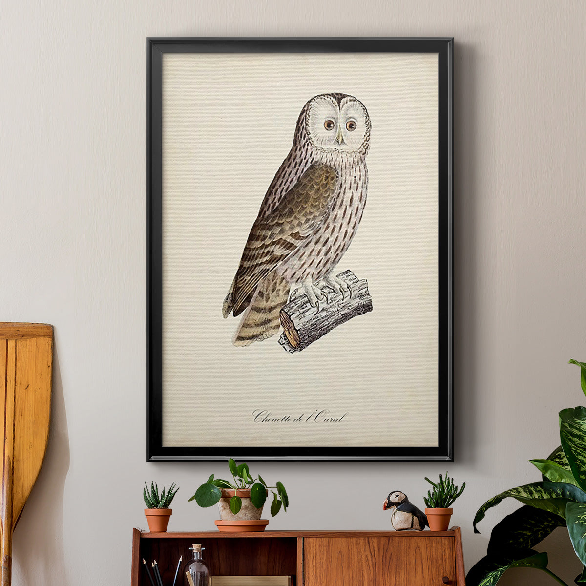 French Owls V - Modern Framed Canvas Print