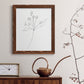 Botanical Gesture V - Premium Canvas Framed in Barnwood - Ready to Hang