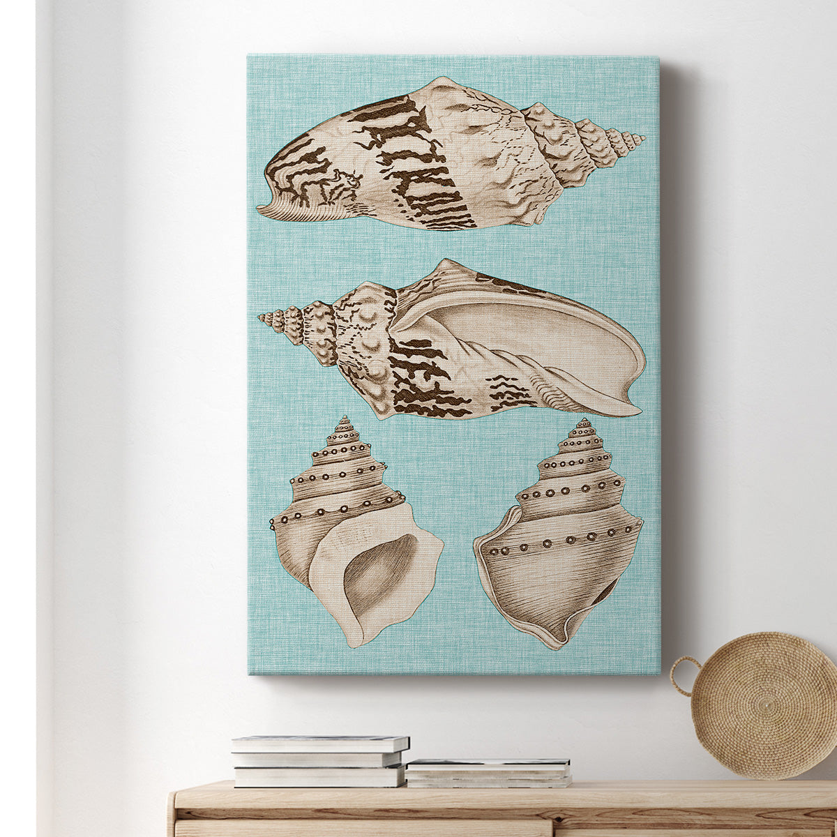 Sepia & Aqua Shells IV - Canvas Art Print