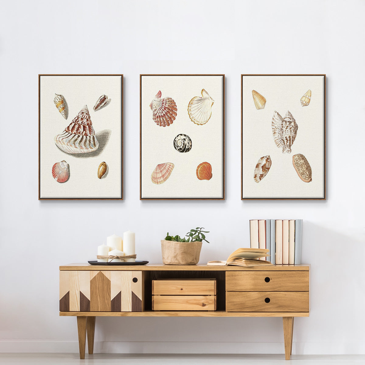 Pastel Knorr Shells VI - Framed Premium Gallery Wrapped Canvas L Frame 3 Piece Set - Ready to Hang