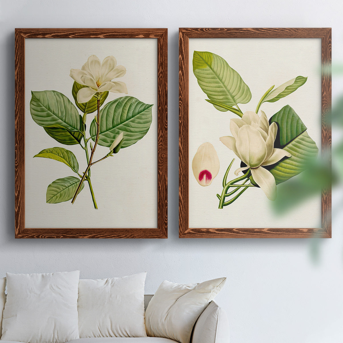 Set of two maple barnwood framed canvas prints depicting large pale petals, leafy branches, and soft watercolor shading arranged across two complementary compositions above a sofa in a bright living space.