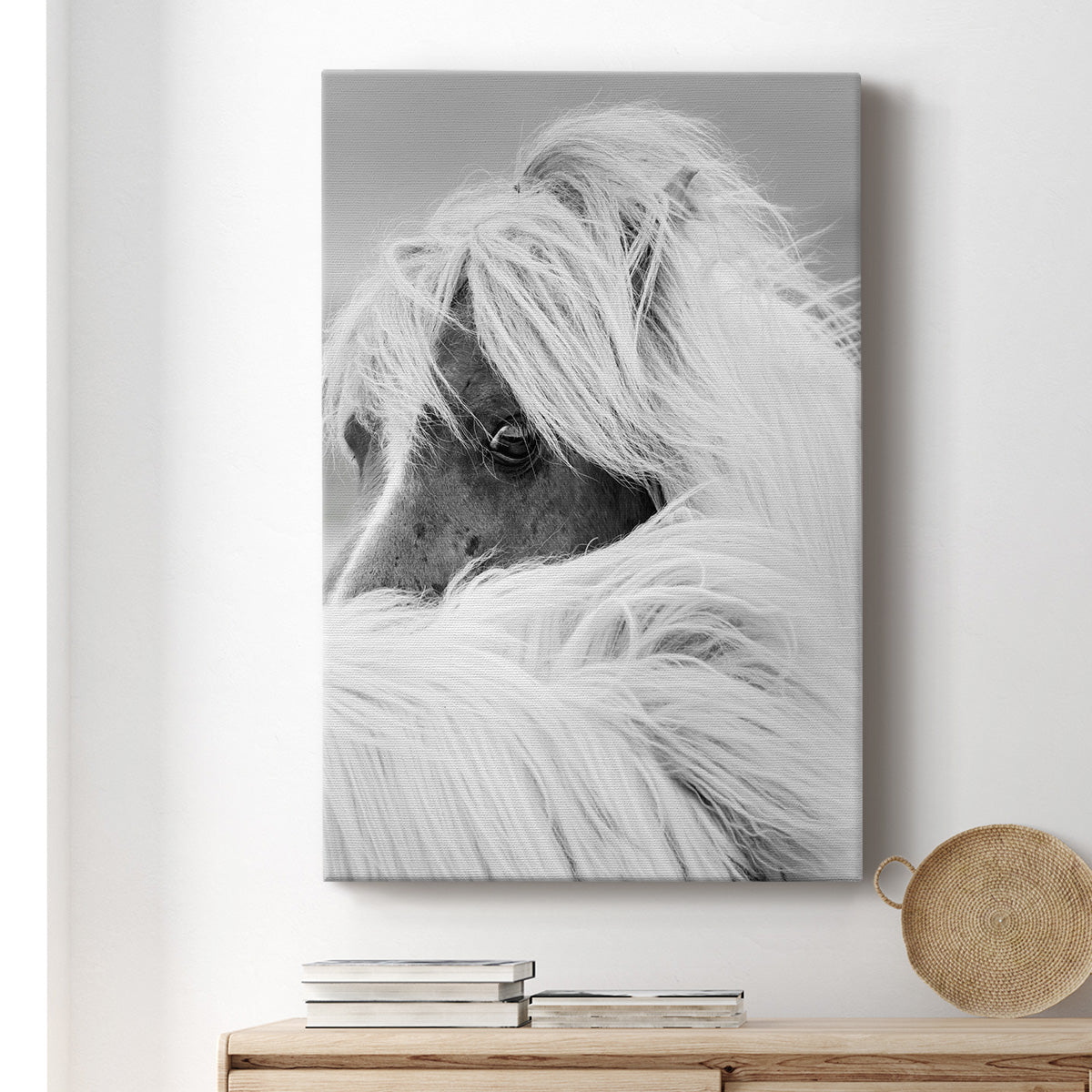 Island Pony II - Canvas Art Print