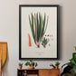 Botanical Society Ferns V - Modern Framed Canvas Print