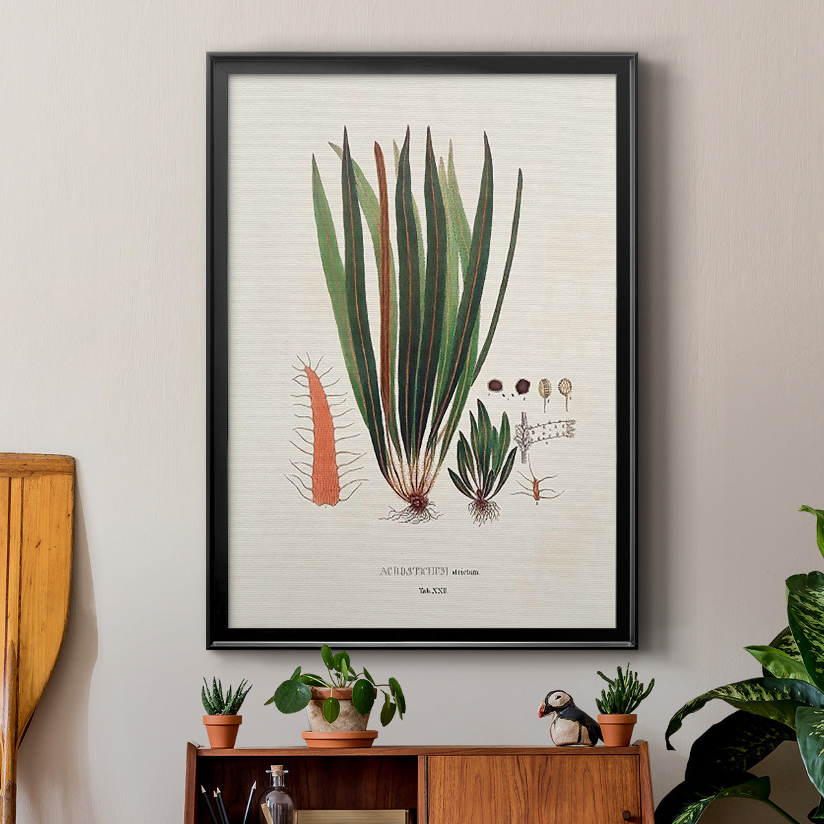 Botanical Society Ferns V - Modern Framed Canvas Print