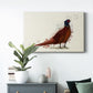 Pheasant Splash 4 Premium Gallery Wrapped Canvas - Ready to Hang