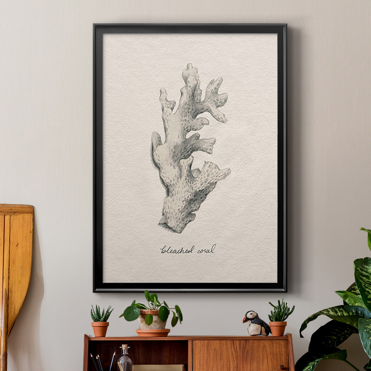 Shore Treasure Study II - Modern Framed Canvas Print