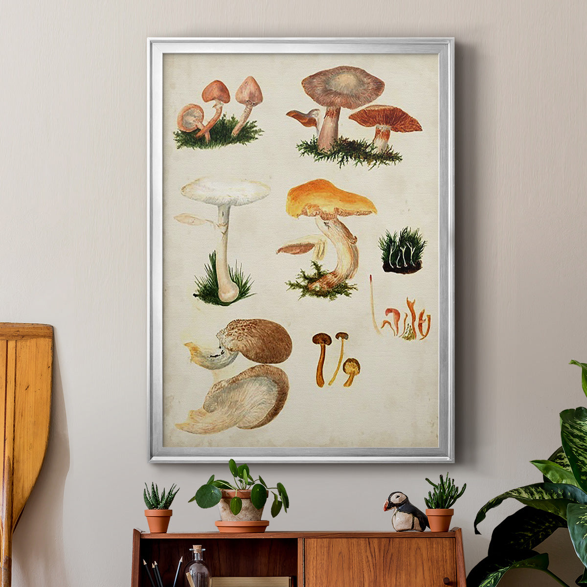 Mushroom Species IV - Modern Framed Canvas Print