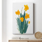 Daffodil Bunch II - Canvas Art Print