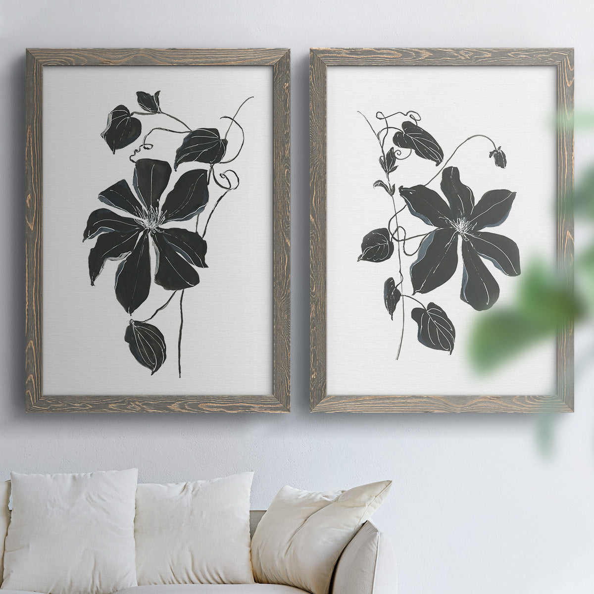 Set of two gray barnwood framed canvas prints depicting bold dark leaves, curving stems, and clean white grounds arranged across two complementary compositions above a sofa in a bright living space.