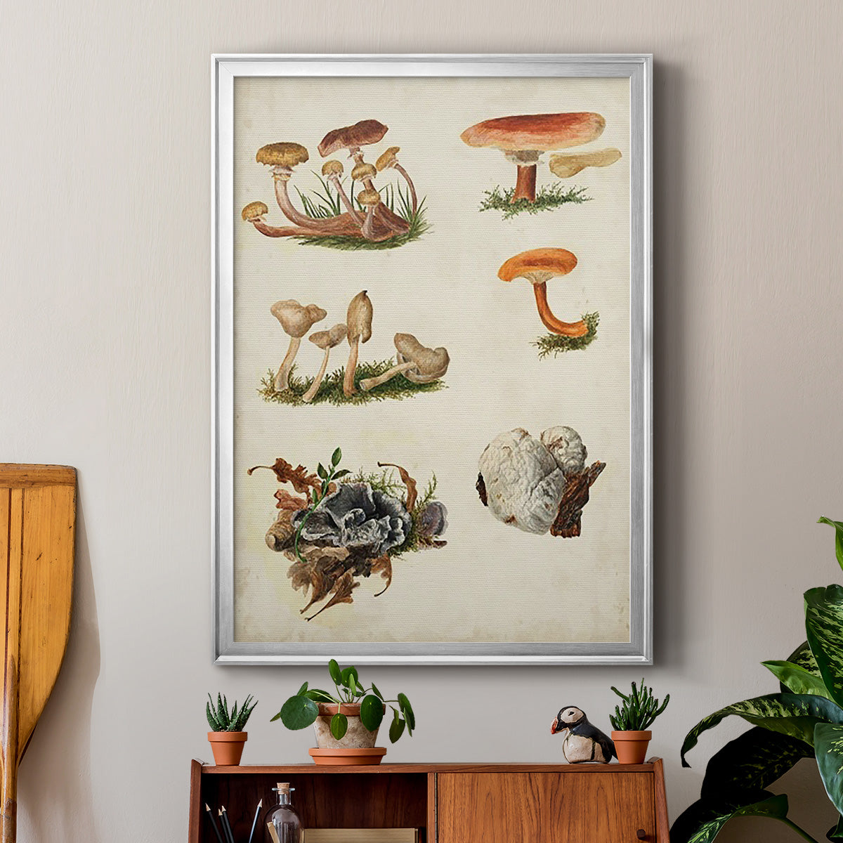 Mushroom Species X - Modern Framed Canvas Print