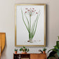 Rose Botanical II - Modern Framed Canvas Print