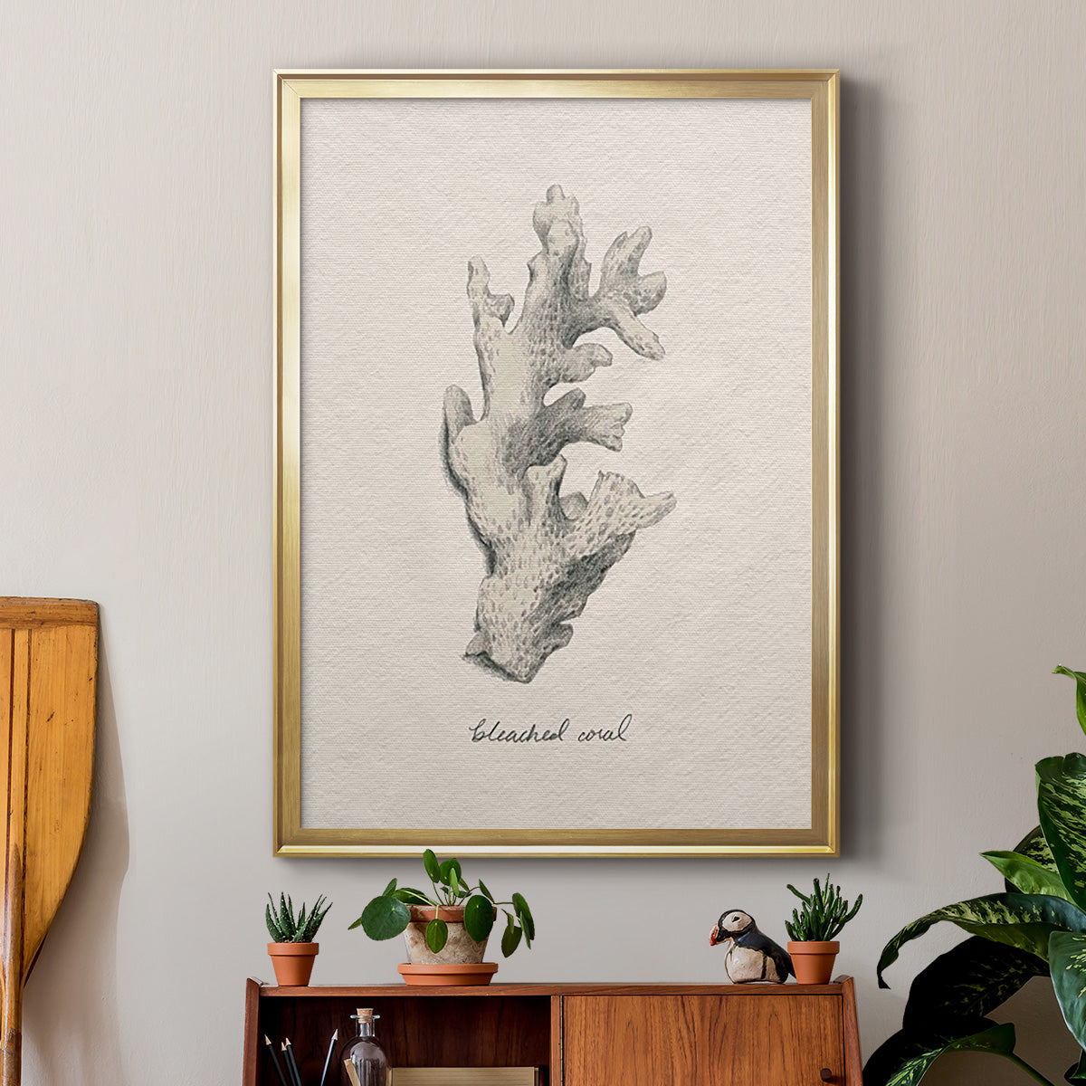 Shore Treasure Study II - Modern Framed Canvas Print