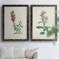 Set of two black barnwood framed canvas prints depicting a traditional botanical print pair with delicate blossoms leafy stems and scientific plate details above a sofa in a bright living space.